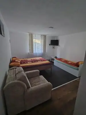 a living room with a couch and a bed at Apartmani Mihajlovic Sisevac in Sisevac