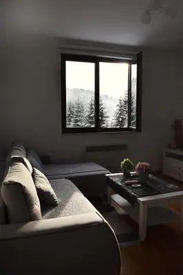 a living room with a couch and a table and a window at Vila Irina Kopaonik in Kopaonik