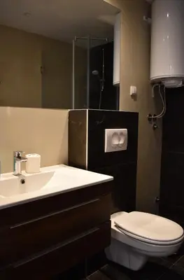 a bathroom with a white toilet and a sink at Vila Irina Kopaonik in Kopaonik