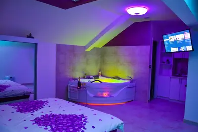 a bedroom with a tub and a bed and a tv at Apartmani Tajna in Paraćin