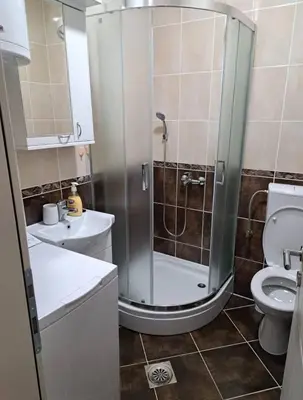 a bathroom with a shower and a toilet at Talija Apartman in Vrnjačka Banja