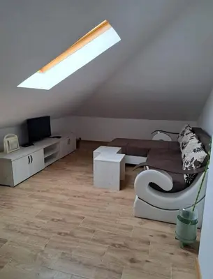 a living room with a couch and a television at Talija Apartman in Vrnjačka Banja