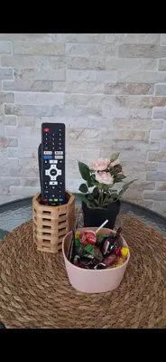 a remote control next to a bowl of food on a table at Apartman Živković in Leskovac