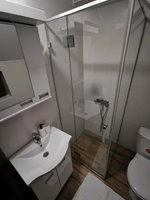 a bathroom with a shower and a sink and a toilet at Sunčani Breg-Sunčana KOP studio in Kopaonik
