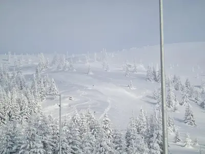 a ski slope with snow covered trees on a mountain at Sunčani Breg-Sunčana KOP studio in Kopaonik
