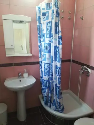 a bathroom with a sink and a shower curtain at Apartmani Marković in Soko Banja