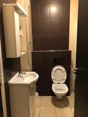 a small bathroom with a toilet and a sink at Jolly Kop, Villa Jovana, apartman 18 in Kopaonik