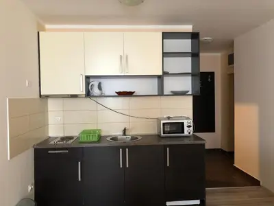 a kitchen with a sink and a microwave at Jolly Kop, Villa Jovana, apartman 18 in Kopaonik