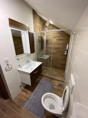 a bathroom with a toilet and a sink and a shower at Apartman 24 - Vila Montana Kopaonik in Kopaonik