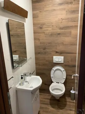 a bathroom with a white toilet and a sink at Apartman 24 - Vila Montana Kopaonik in Kopaonik