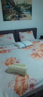 a bed with two pillows on it with flowers on it at Snezana home in Vranje