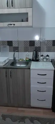 a kitchen with a sink and a counter top at Snezana home in Vranje