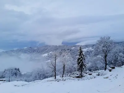 a snow covered hill with trees and a mountain at Apartman Klara S 23 in Kopaonik