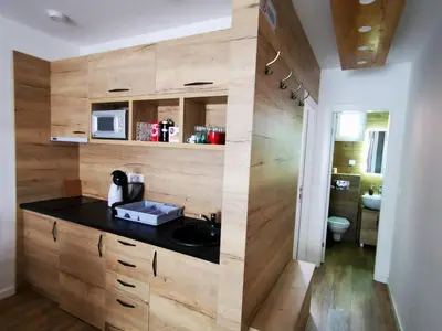 a kitchen with wooden walls and a counter with a sink at Soko lux apartman in Kopaonik