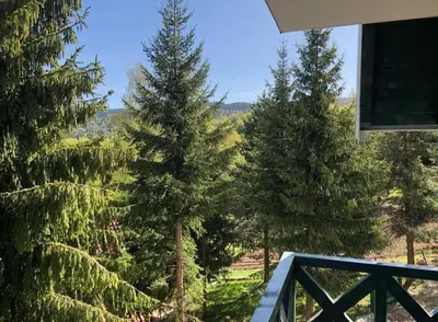 a view of trees from the balcony of a house at Soko lux apartman in Kopaonik