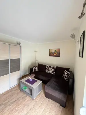 a living room with a black couch and a table at Apartmani Radoičić in Jošanička Banja