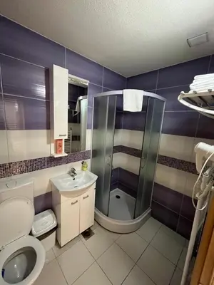 a bathroom with a shower and a toilet and a sink at Apartmani Radoičić in Jošanička Banja