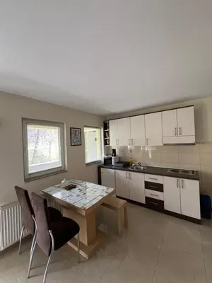 a kitchen with a table and chairs and a table and a counter at Apartmani Radoičić in Jošanička Banja