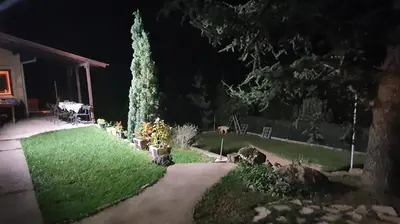 a yard at night with a tree and a house at Dom sa pogledom Jela in Jelašnica
