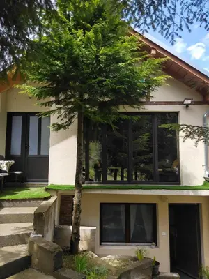 a house with a tree in front of it at Dom sa pogledom Jela in Jelašnica