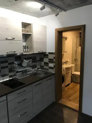 a kitchen with a sink and a bathroom with a toilet at Suncani breg treska in Kopaonik