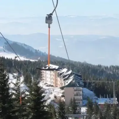 Suncani breg treska