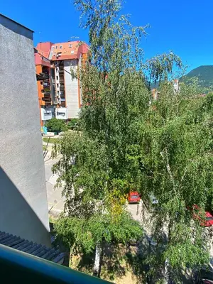a tree in front of a building and a street at Apartman - stan na dan LENJINKA in Vranje