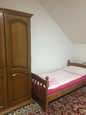 a bedroom with a bed and a wooden cabinet at Vila Jakovljević in Jošanička Banja