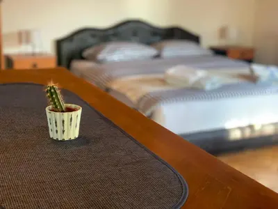 a cactus sitting on a table next to a bed at Vila Djordjevic - Priroda vas okruzuje in Brus