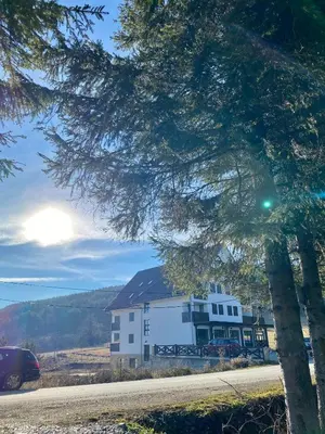 a house on the side of a road with a tree at Apartmani Vila Goč in Goč