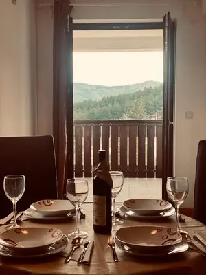 a table with a bottle of wine and glasses on it at Apartmani Vila Goč in Goč
