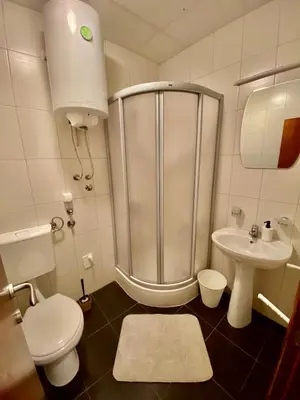 a bathroom with a shower and a toilet and a sink at Apartmani Vila Goč in Goč