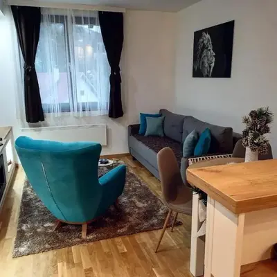 Vila Irina Kopaonik - Apartman IN