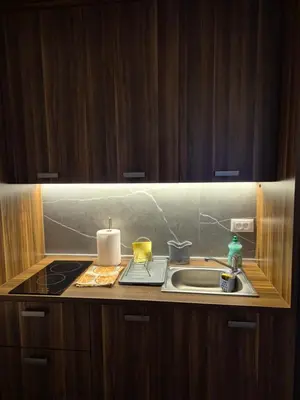 a kitchen counter with a sink and a stove at President Kop S9, S3 & A103 in Kopaonik