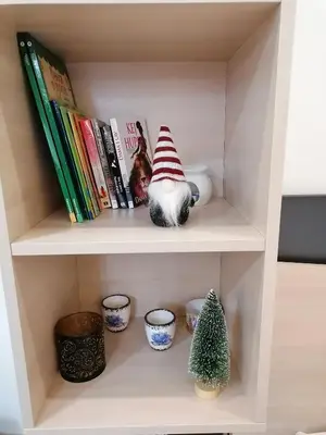 a book shelf with a cat in the hat and books at President Kop S9, S3 & A103 in Kopaonik