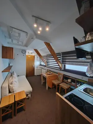 a large room with a bed and a kitchen at Mali Medved Konaci in Kopaonik