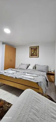 a bedroom with two beds and a painting on the wall at Apartman Branka in Niška Banja