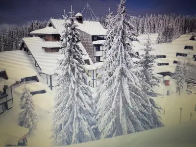 a building covered in snow with snow covered trees at Apartment Kockica Konaci in Kopaonik