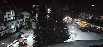 a christmas tree on a city street at night at Apartment Kockica Konaci in Kopaonik