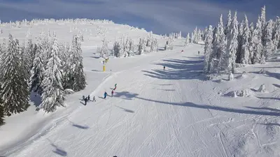 a group of people skiing down a snow covered slope at Apartment Kockica Konaci in Kopaonik