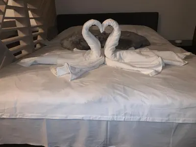 two swans are making a heart on a bed at Grand Elegant & Spa Kop in Kopaonik