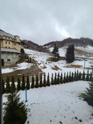 a snow covered yard with trees and a building at BELI VUK - Brzeće, Kopaonik in Brzeće