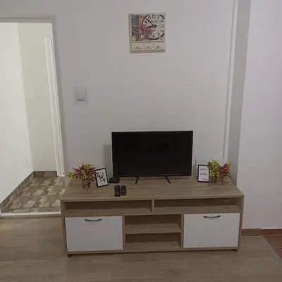 a living room with a television on a wooden entertainment center at Stan KALA in Vrnjačka Banja