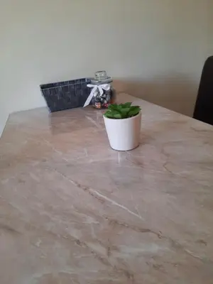 a potted plant sitting on top of a table at Apartman NIKOLIJA Vrnjačka Banja in Vrnjačka Banja