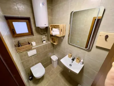 a bathroom with a sink and a toilet and a mirror at Apartmani Vidatela Kopaonik in Kopaonik