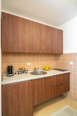 a kitchen with a sink and wooden cabinets at Apartman EROS in Vrnjačka Banja
