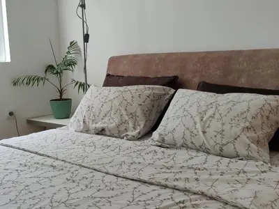 a bed with two pillows and a plant on it at Apartman Aleksic in Niš