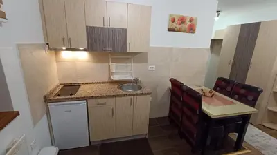 a small kitchen with a sink and a counter at Vila Suri Centar in Kopaonik