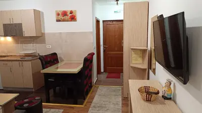 a small kitchen with a small island in a room at Vila Suri Centar in Kopaonik