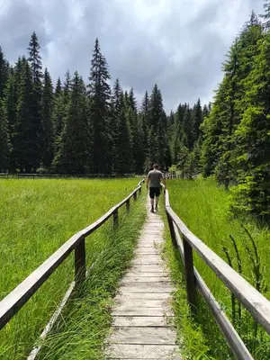 a man walking down a wooden path in a field at Apartments S73&S74 Milmari Resort, Kopaonik in Kopaonik